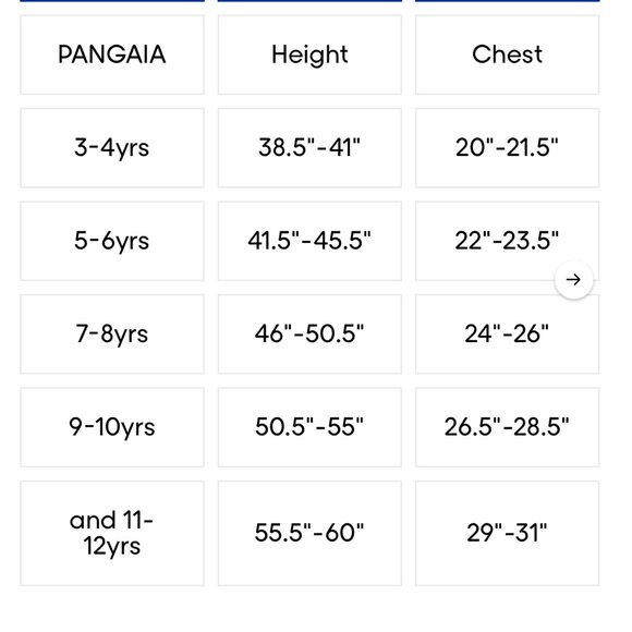 PANGAIA Kids' 365 Midweight Track Pants GREY and BLUE - Picture 9 of 10